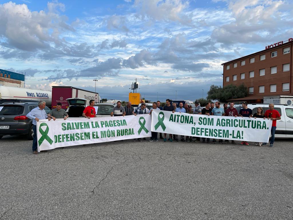 rosapujolaitona's tweet photo. Us convidem a veure gratis la pel.lícula  #Alcarràs, a les 11.00 a la plaça Sant Jaume, Barcelona. No serà ficció serà la crua realitat #SOSPAGESOS #Defensemlapagesia #preusjustos #ajutsgelades #plataformafruitadolça @aj_Aitona https://t.co/UqwEX0VwJx