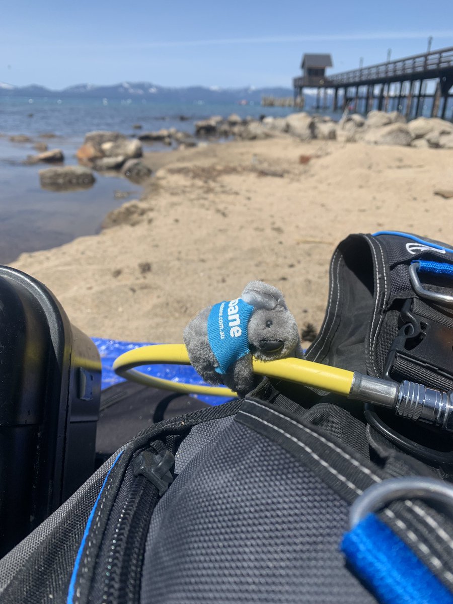 Kelly Loria (@kellyaloria) on Twitter photo Thanks #JASM22 for all the amazing aquatic science! Very excited to apply some new nitrogen cycle measurements here at Tahoe and talk about them next year! <a href="/BenthosNews/">Freshwater Science</a> #freshwaterdownunder #visitBrisbane Thanks #JASM22 for all the amazing aquatic science! Very excited to apply some new nitrogen cycle measurements here at Tahoe and talk about them next year! <a href="/BenthosNews/">Freshwater Science</a> #freshwaterdownunder #visitBrisbane
