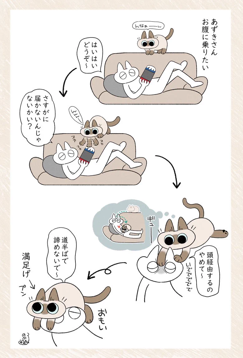 迂回するルートに選んだのは飼い主の頭･･･！可愛くて癒されちゃう猫漫画！