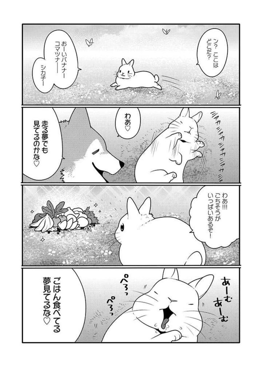 うさぎは正義145話更新されました  
https://t.co/pfAchiPBvh 