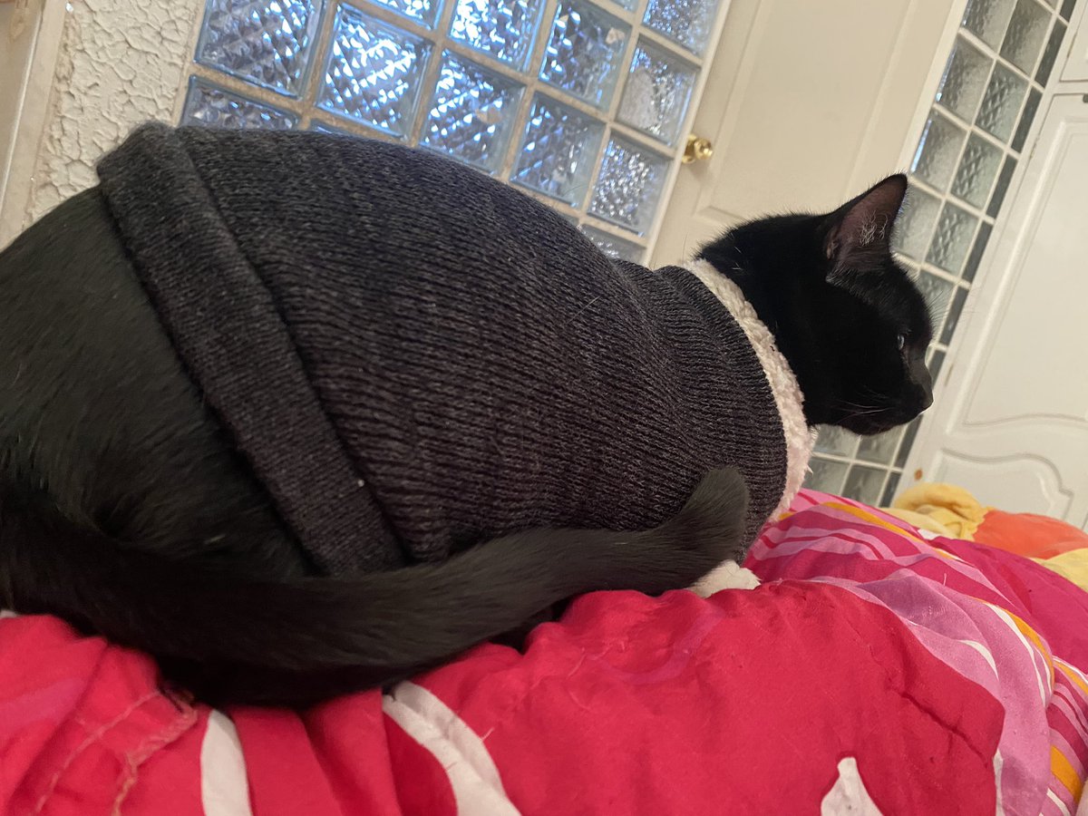 hugsdiluc's tweet photo. @khoidaooo beans https://t.co/ymNyB7e5ul