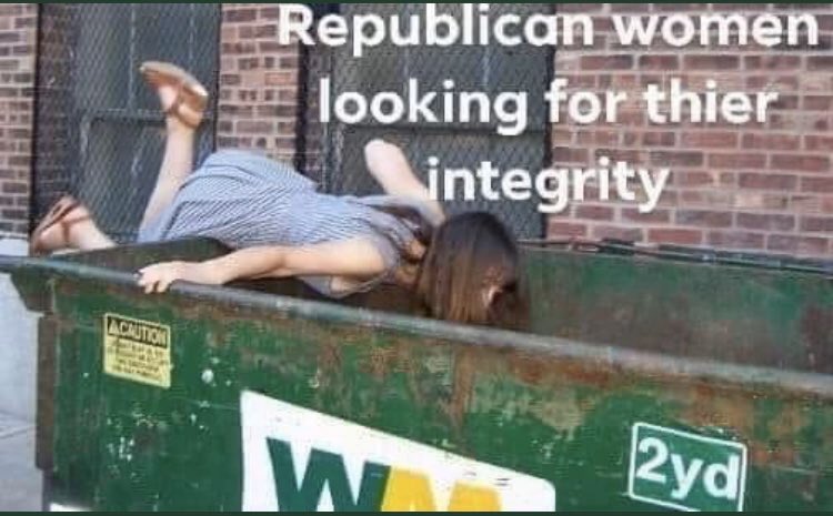 TPBlue4's tweet photo. @GOPChairwoman Ronna is intimidated by competent and intelligent women of integrity (not you).
#NothingButBlue https://t.co/7qNTAtSFcs
