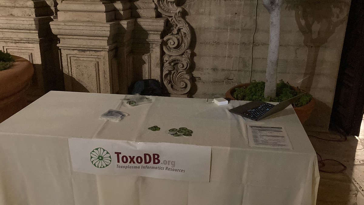 veupathdb's tweet image. The #ToxoDB help desk is all set up at #ToxoXVI come by with you questions and pick up a ToxoDB sticker