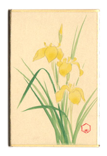 黄菖蒲のtwitterイラスト検索結果