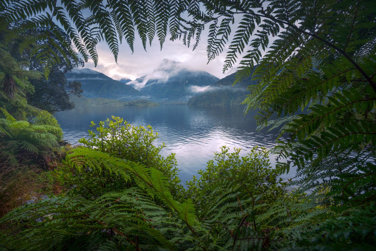 A few personal favourites from the past couple of years. Thanks for viewing :)