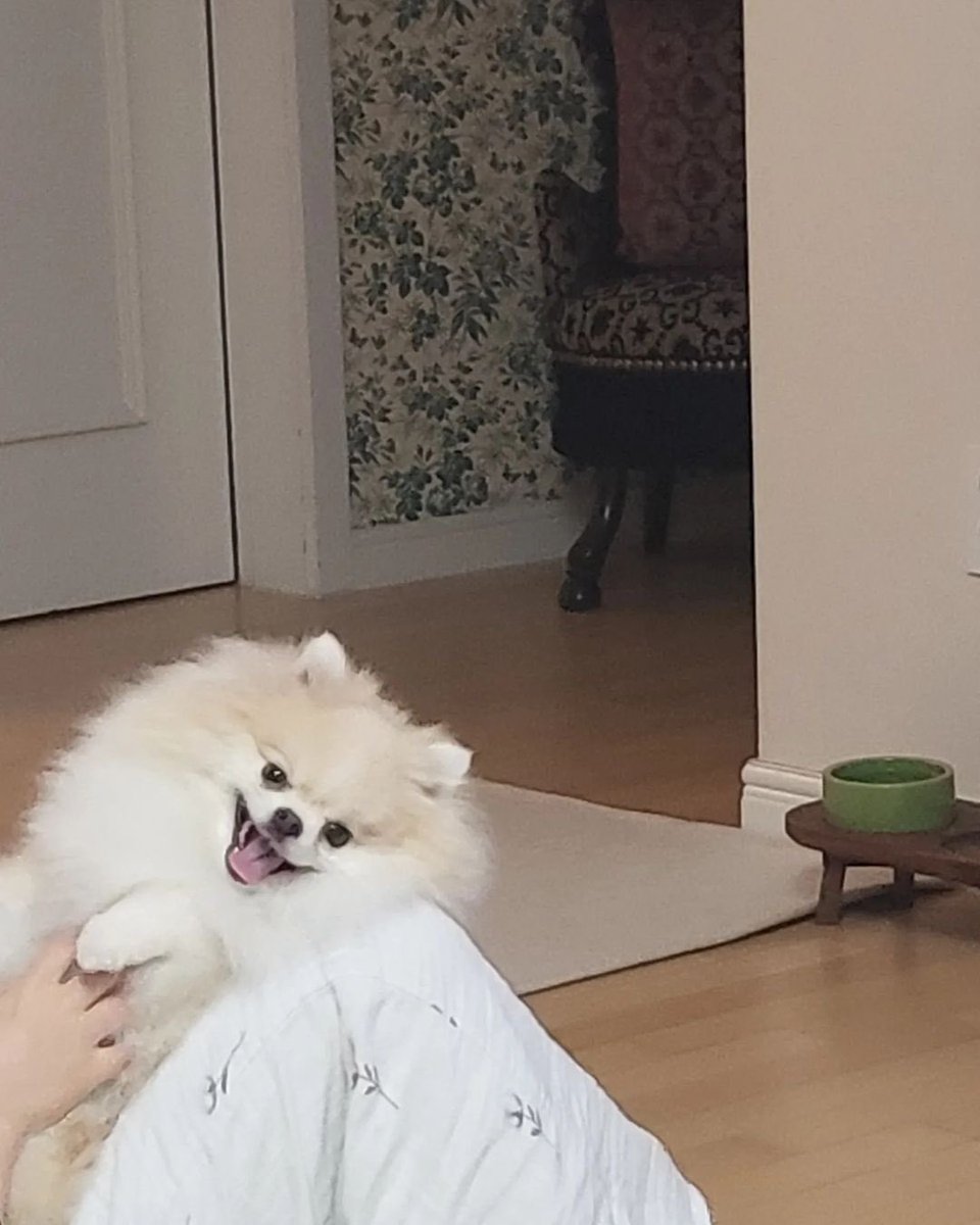#NAYEON’s mom Instagram update

“Kookeu is nervous too haha 
Noona fighting!!!
Waiting for 1 o'clock”

PREORDER IM NAYEON NOW
#IMNAYEON_PreOrders
#IMNAYEON1stMiniAlbum 
<a href="/JYPETWICE/">TWICE</a>
