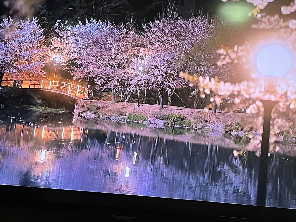iremoonly's tweet photo. La calidad no le hace justicia a este precioso paisaje wouhh una vez más los #kdramas me demuestran por que amo verlos 💜💜🥰 #AtaDistanceSpringisGreenEp4 https://t.co/awlwxpeUC6