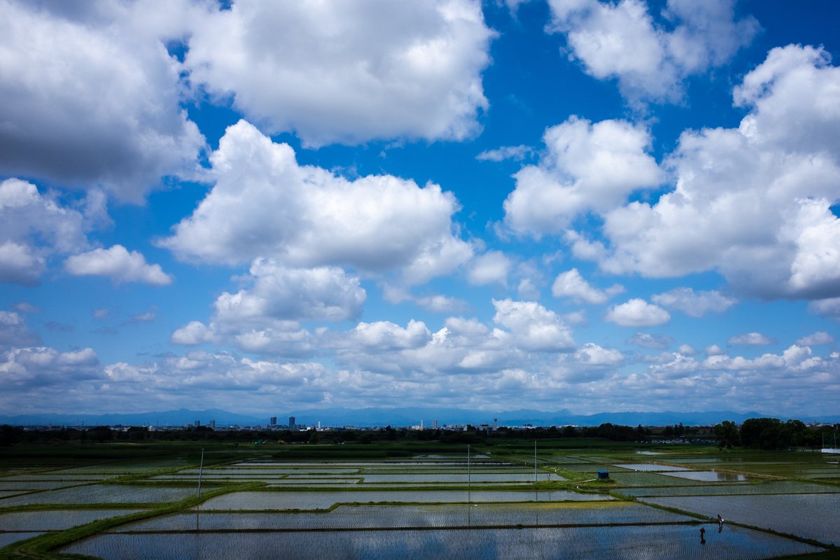 nabe_'s tweet photo. GRブルーって呼び方はもう無くなってしまったのかもしれないけど、こんな蒼い空とぽっかり雲の日はGR一択だなあ。#ricorgr #grasnaps #grblue https://t.co/ZR8SDyTpa3