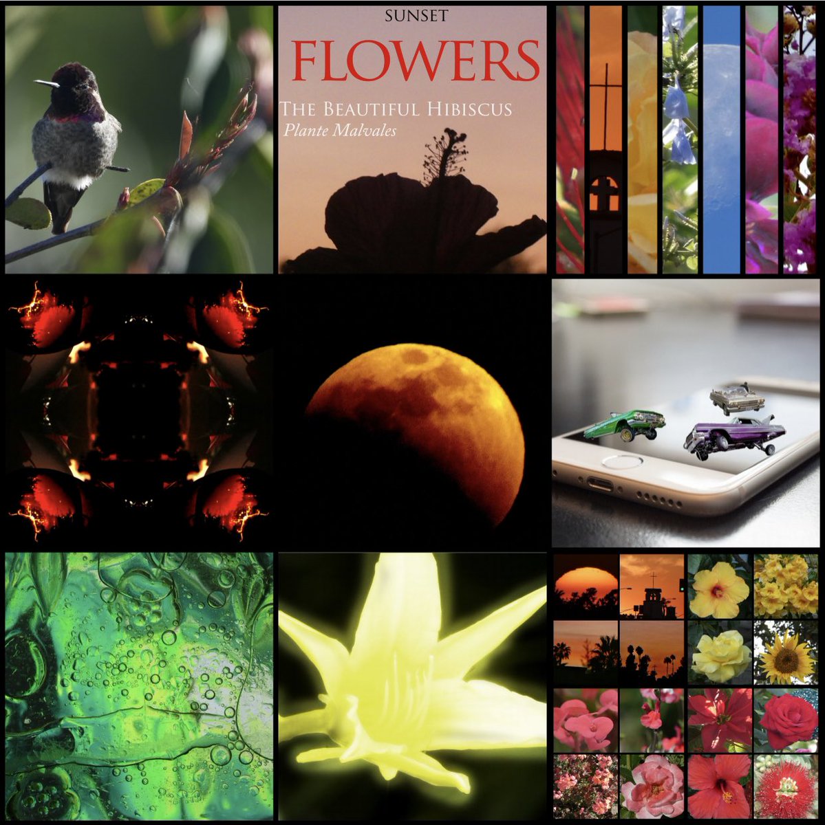 BethDuncan's tweet photo. Our @RMMSbulls photographers are turning in their โ9-Frame of Fameโ assignments, and they are FABULOUS!! Itโs been a tremendous year of learning, rigor, and creativity! #rmmsfam #disrupttheperception #lovemybulls https://t.co/o0OCmdIZVO