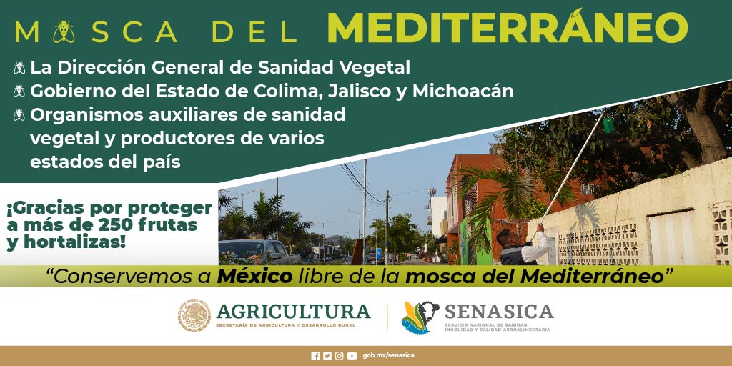 SENASICA's tweet photo. ¿Quién colaboró para que a la fecha estemos a punto de despedir a la #moscadelMediterráneo del estado de Colima? En la siguiente imagen te lo decimos https://t.co/6PFXNHeJbR