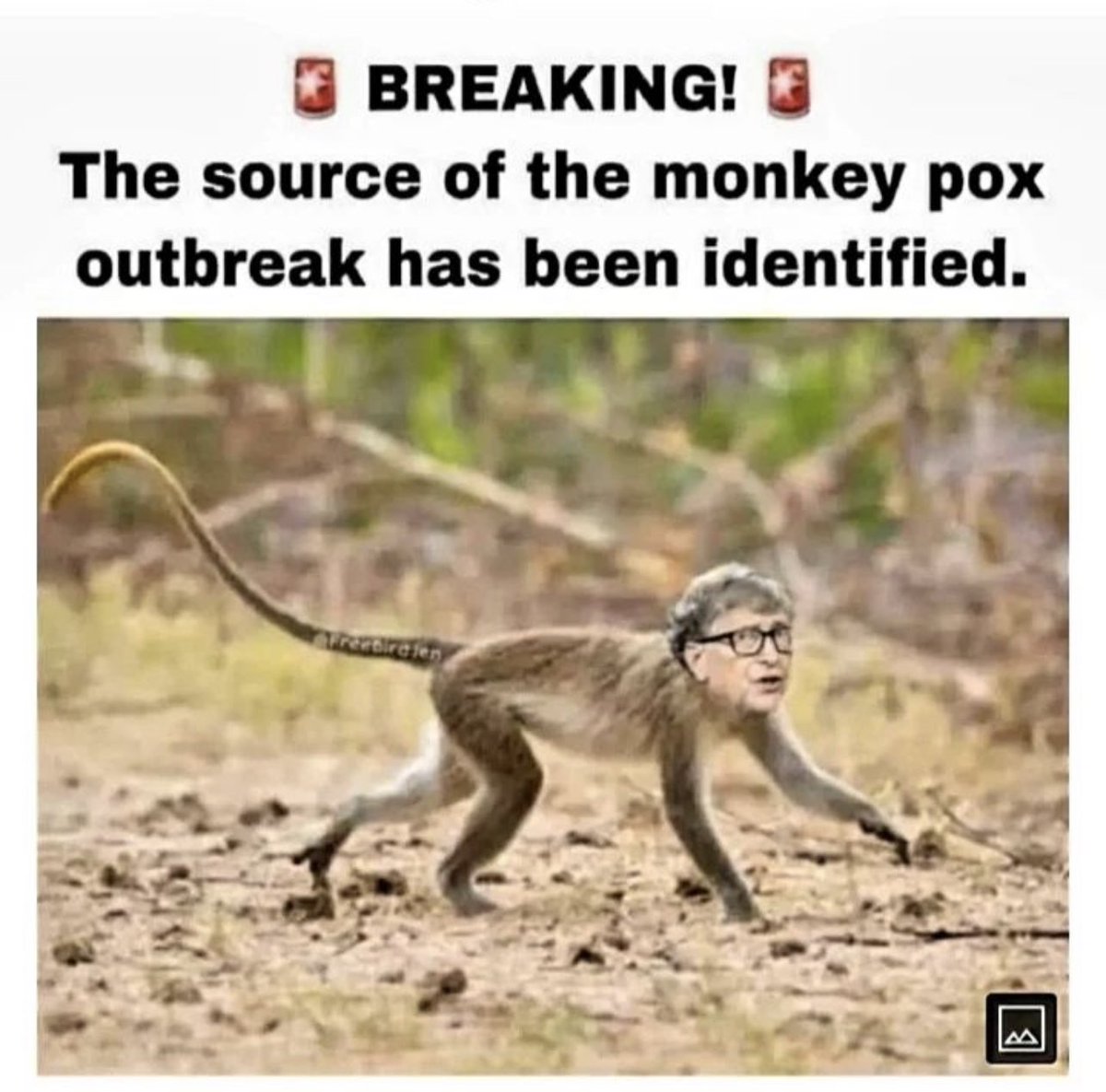 🚨 BREAKING NEWS 🚨 #BillGatesIsABioTerrorist