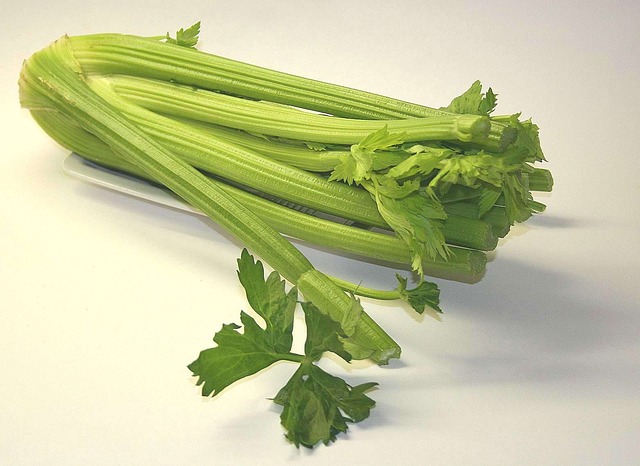 HealthyHubb's tweet photo. 12 incredible health benefits of celery
https://t.co/u8ncW0Uiad https://t.co/XMFTKPzw6s