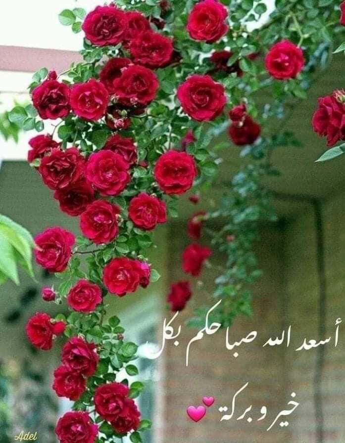 <a href="/Tarekeedmohame2/">Tarek eed mohamed</a>