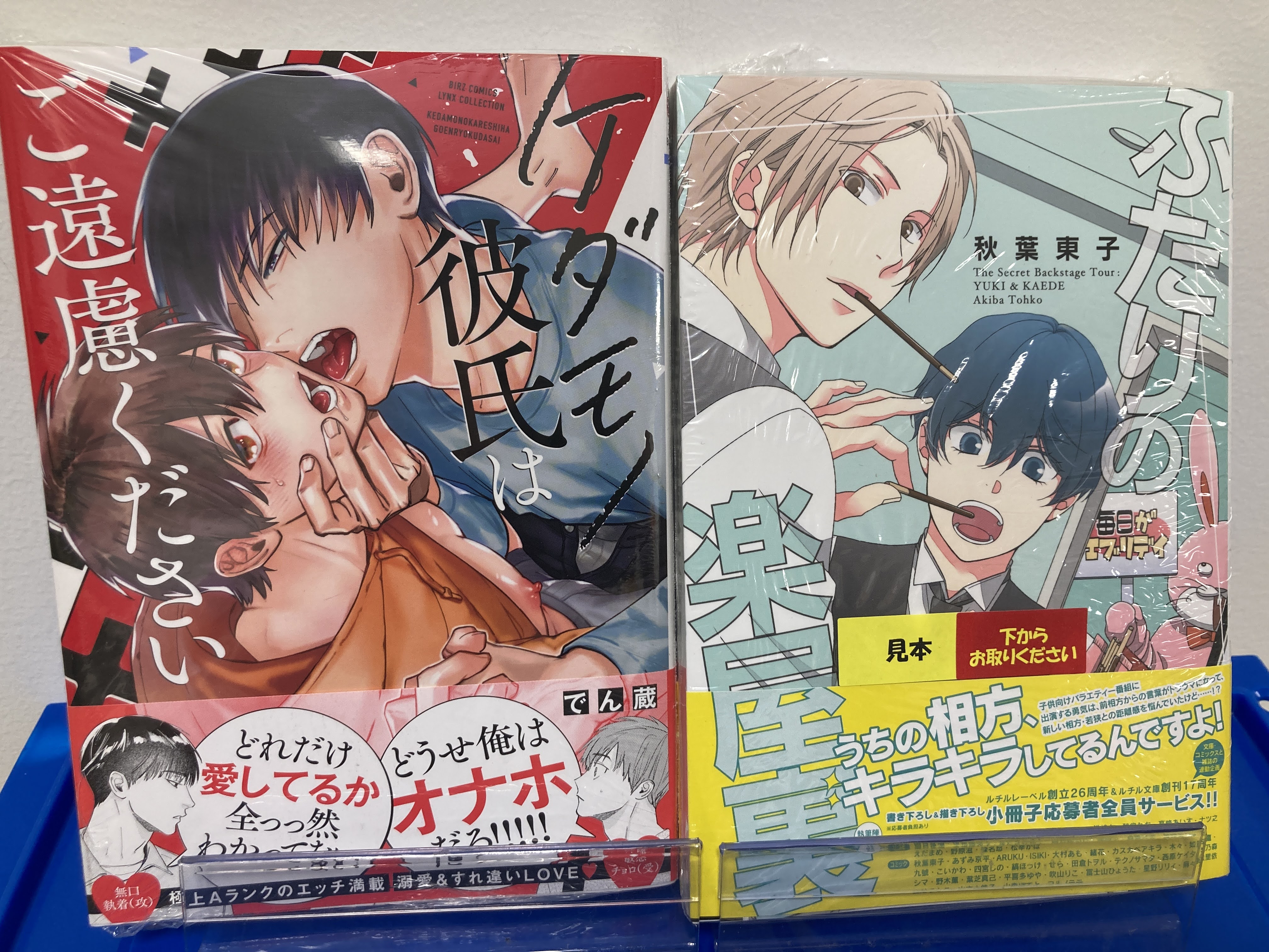 ふたりの楽屋裏 秋葉東子 Blコミック Andrestover Com