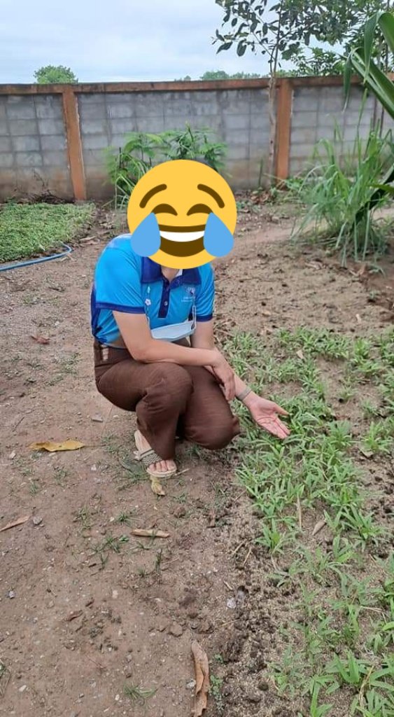 run_ley's tweet photo. หมอกล้วย https://t.co/pYl3Qk6pT4