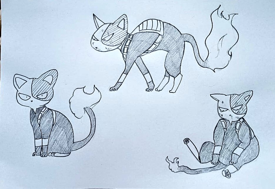 sobaepice's tweet photo. cat shoto
#mha352 #mha353 https://t.co/LhtiM5Kco1