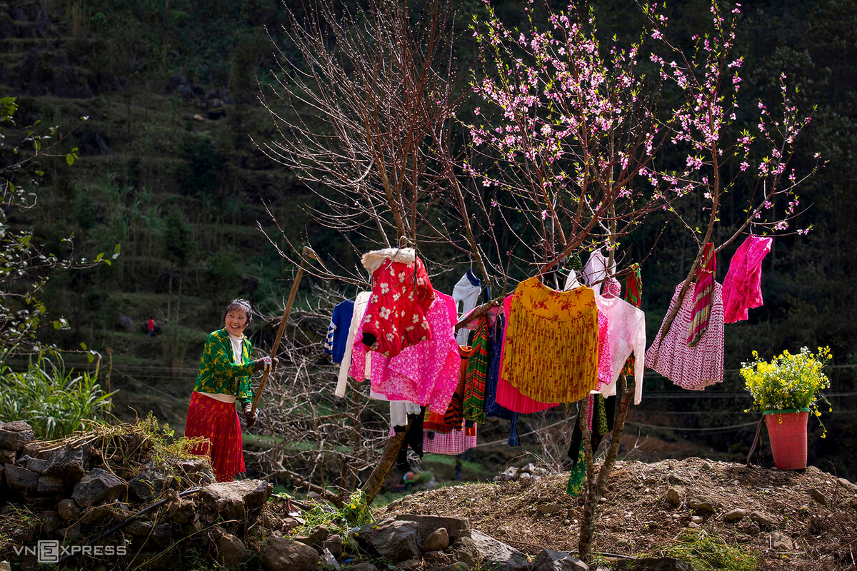 hagianglooptour's tweet image. #Ha_Giang in the spring #hagiangloop #hagiangtrip #ha_giang_travel