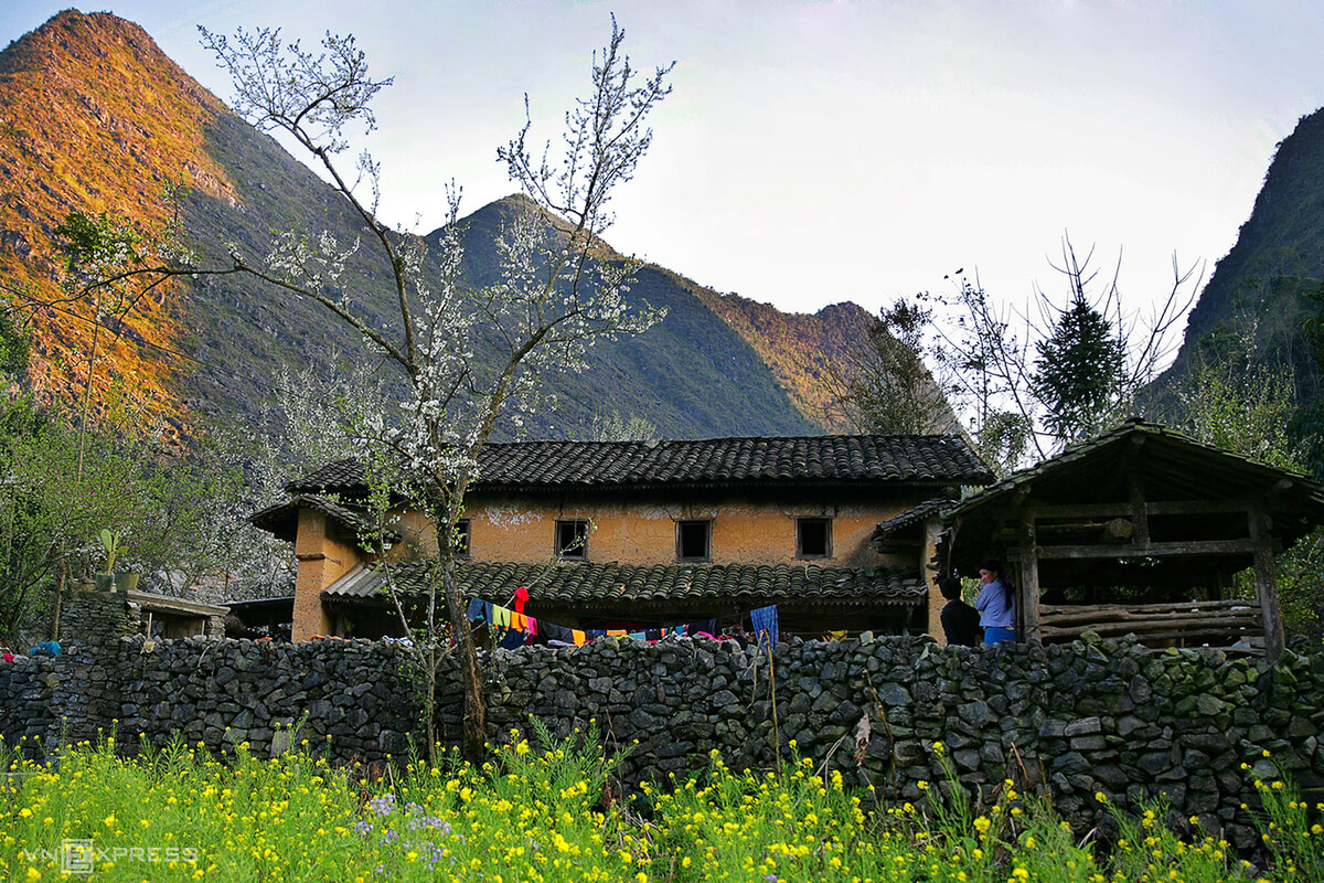hagianglooptour's tweet image. #Ha_Giang in the spring #hagiangloop #hagiangtrip #ha_giang_travel