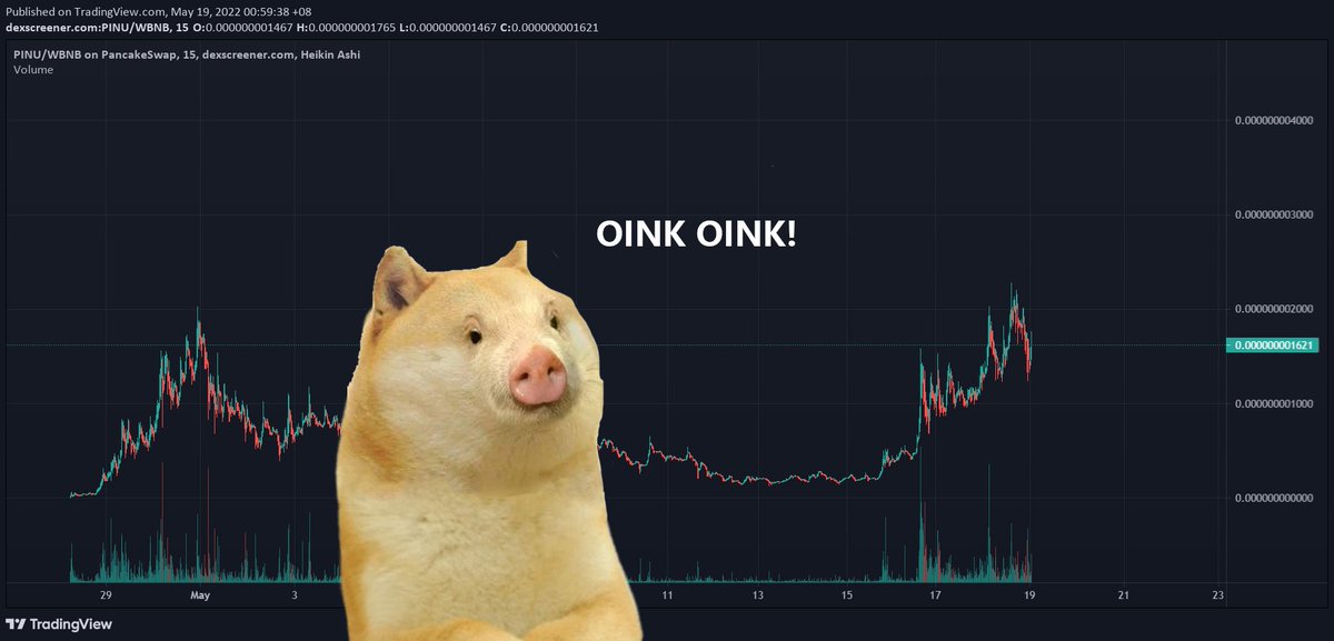 EndgameLootM's tweet photo. @LBank_Exchange @PigeInu Oink oink #PigeInu #PINU https://t.co/uonT1sHvwr