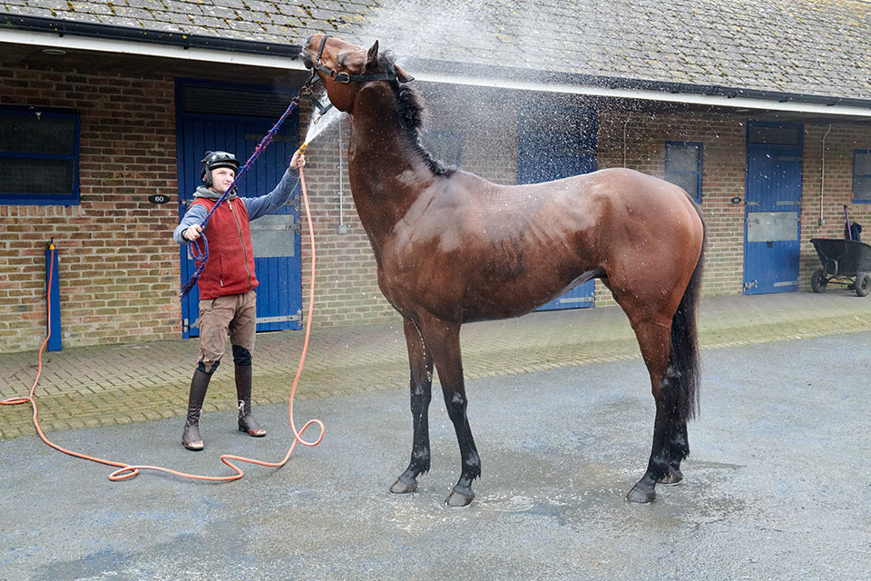 careersinracing's tweet photo. 🗣️ Stable Staff @KBurkeRacing
Duties will include riding out, all daily yard work, grooming, putting horses on/off walker, turn out/bring in, accompanying horses racing.
More Info: ➡️ https://t.co/hMxyZTD455
#RacingJobs #Careersinracing #LiveJobs 🐎 https://t.co/hC7RfoT4S9