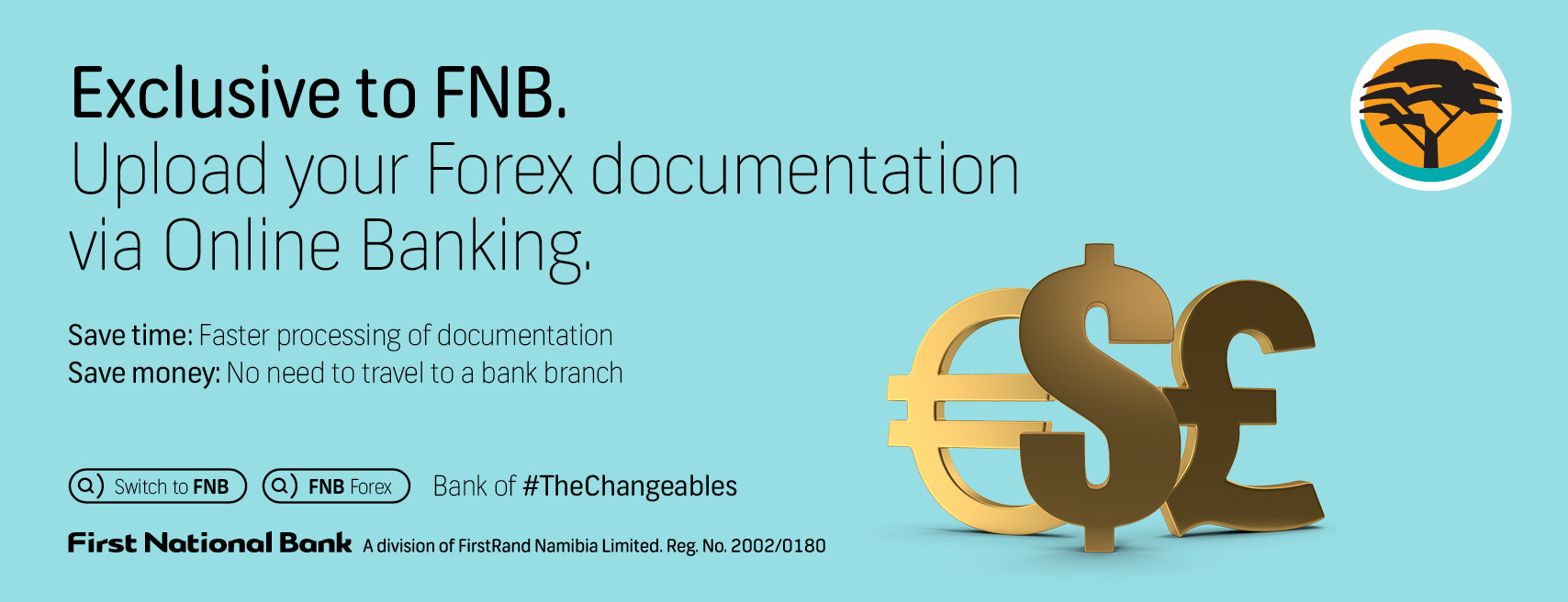 Fnb forex deals