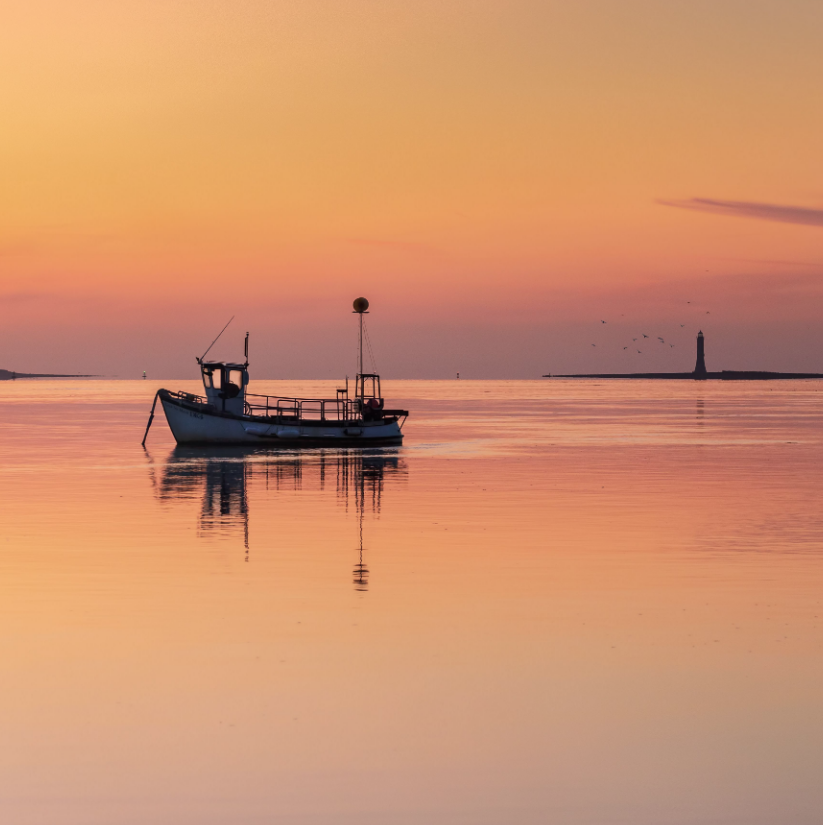 poloconghaile's tweet photo. I'll be travelling along the coast of Co Louth shortly - any tips for things to see, do and places to eat &amp; drink? Much appreciated! I'll be following the new #sealouth trail. @sea_louth https://t.co/GcIjLQrxBp