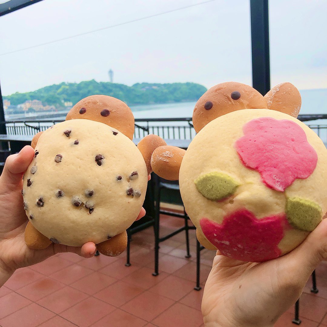 【カメロンパン@新江ノ島水族館】

えのすいの中にあるオーシャンカフェではかわいいパンが売ってる！

お花を甲羅に背負った、季節限定のカメロンパンはいちご味。可愛くて美味しかった！
他にも生き物のパンがあるのでぜひみてみてね！

<a href="/enosui_com/">新江ノ島水族館</a> 

#新江ノ島水族館　#オーシャンカフェ　#江ノ島