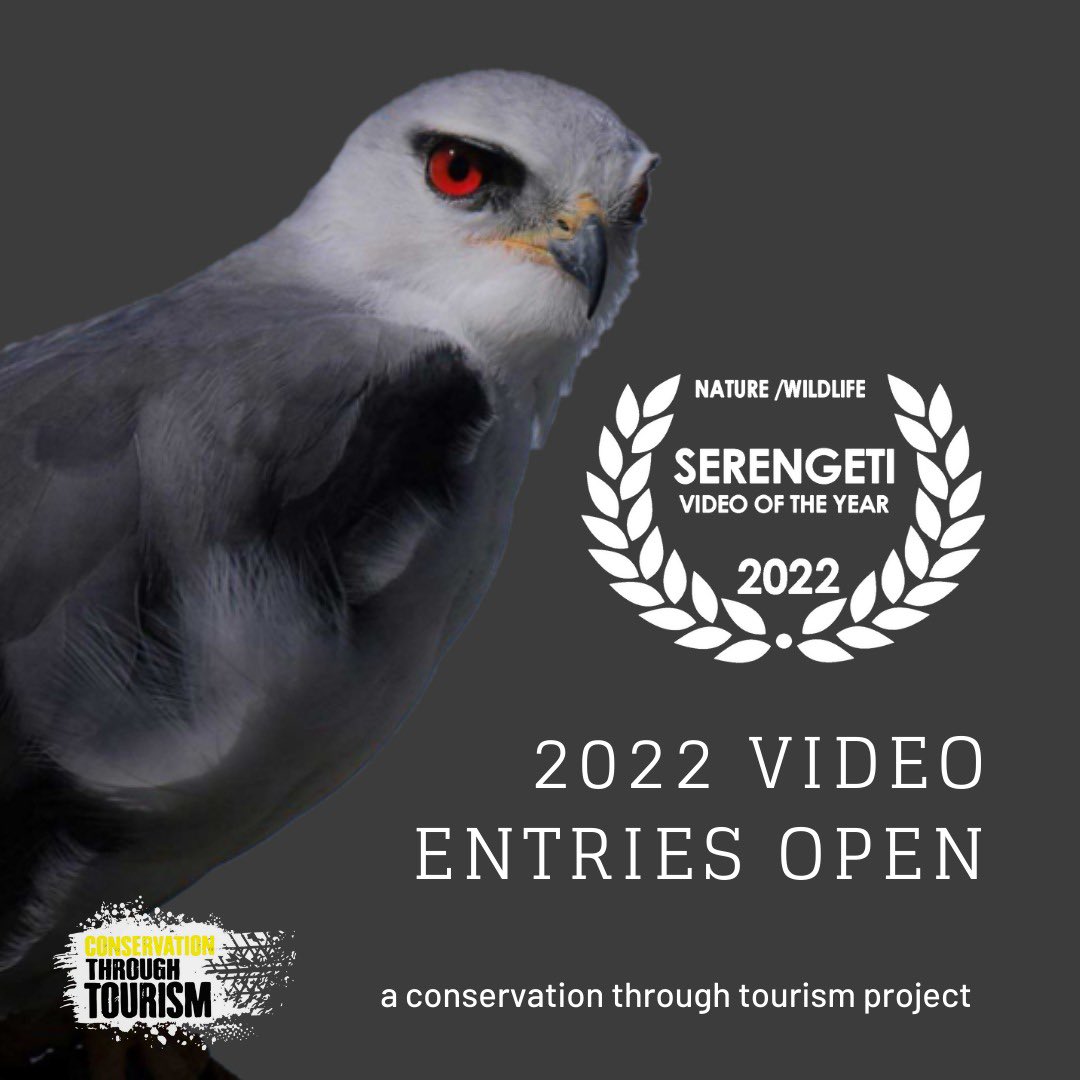 Easy Competition to enter from Conservation Through Tourism

Any original Serengeti video can be entered! 
$1000 in cash 💰 OR
3 nights for 2 people in the Serengeti ⛺️ 

Entries WhatsApp +255 (0)759756814 
Include your name 
Facebook name 
Instagram name