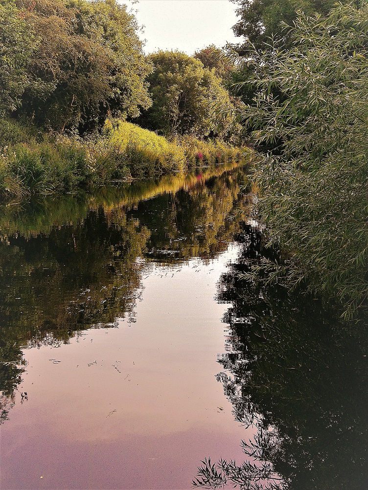 WildsideAC's tweet image. We all know the benefits of drinking plenty of water, but there are several studies to show that the mere sight and sound of water can induce a flood of neurochemicals that promote emotional wellness and relaxation.   bit.ly/3GeGUzT