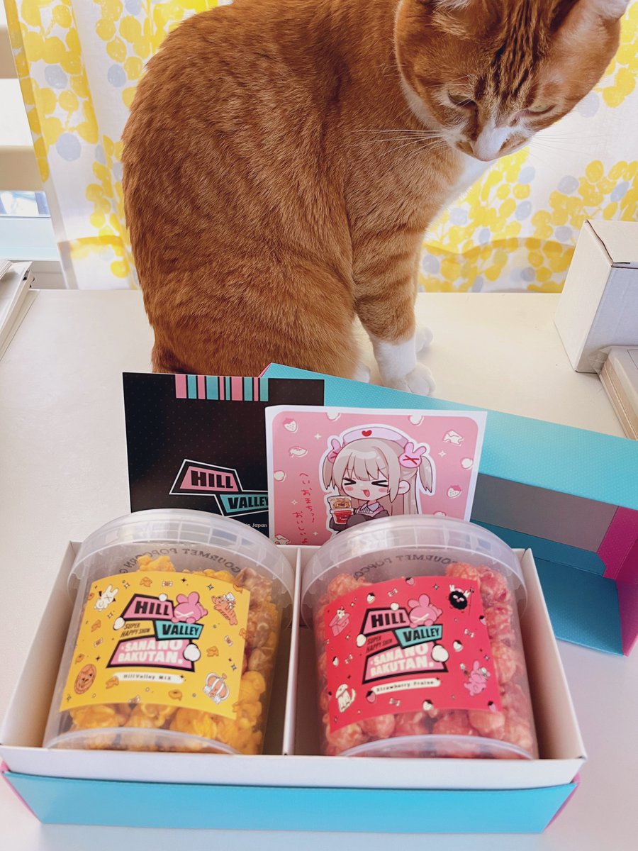 名取さな ヒルバレーコラボ ポップコーンボウル ヒルバレーと名取さなちゃんコラボのポップコーンきた〜🍆🍿 パケが