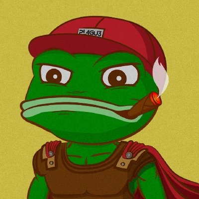 Maori_elite tweet media