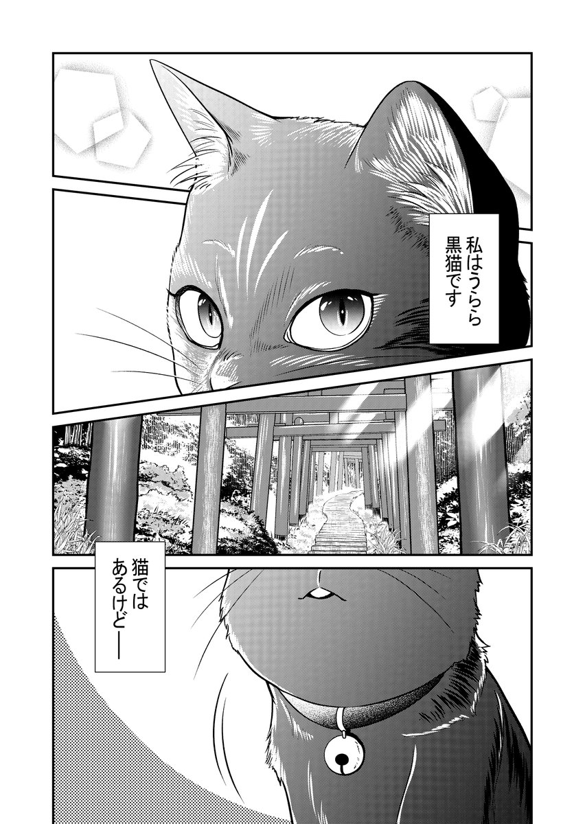 お風呂に入りたい猫と少女の話①
#創作 #オリジナル漫画 