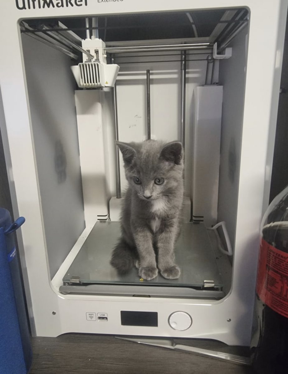 3DMeltdown's tweet photo. Posted by Cereal_HMS #3dprint on our discord:
Join us: https://t.co/rj0z2L2EnV

These printers are getting crazy realistic

#3dprinting is your hobby/drive you crazy? Join our Discord. https://t.co/k5v4D83NZH