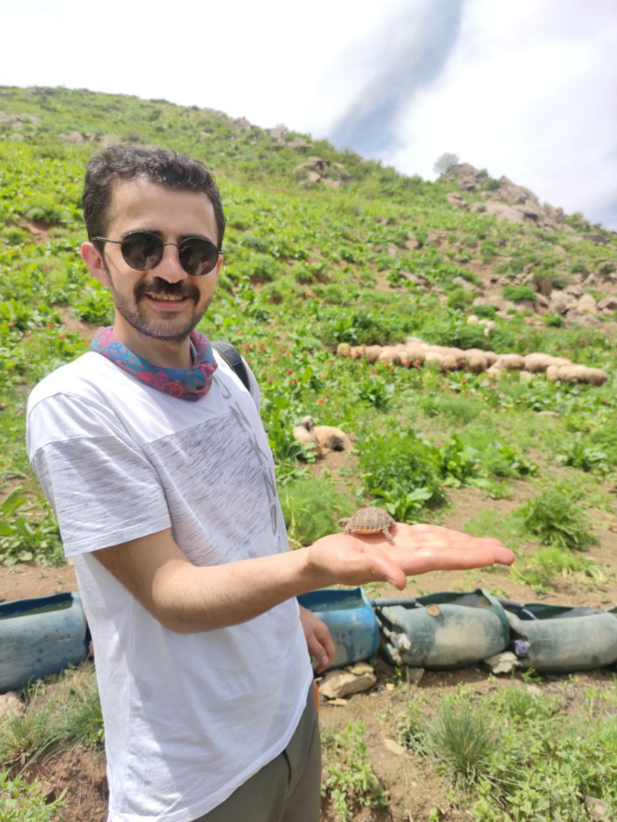 İslamgurdal30 tweet media