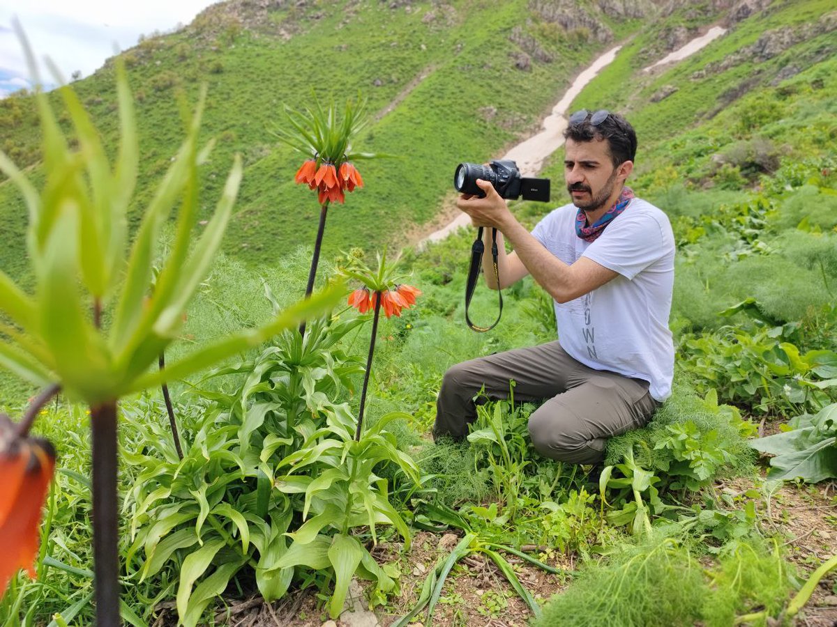 İslamgurdal30 tweet media