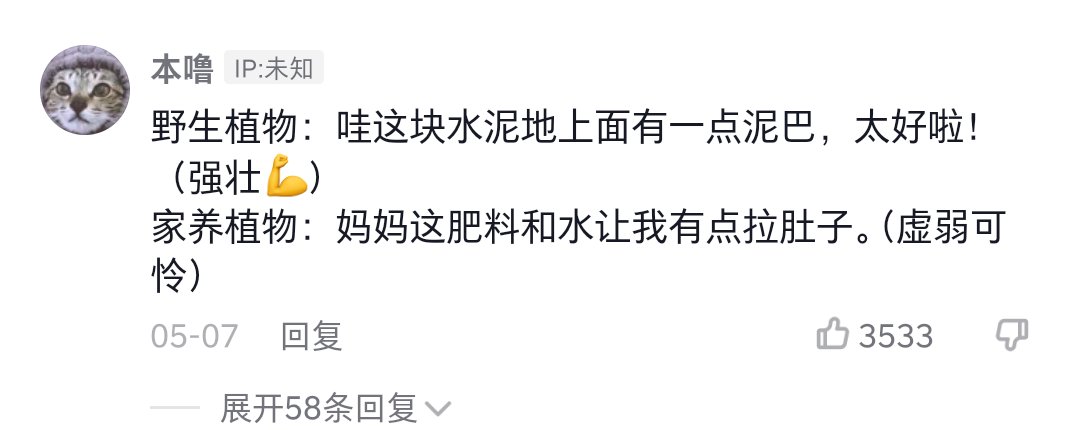 JemeWhite's tweet photo. 关于我的月季被红蜘蛛屠戮殆尽这件事 https://t.co/HjoebOsFlv