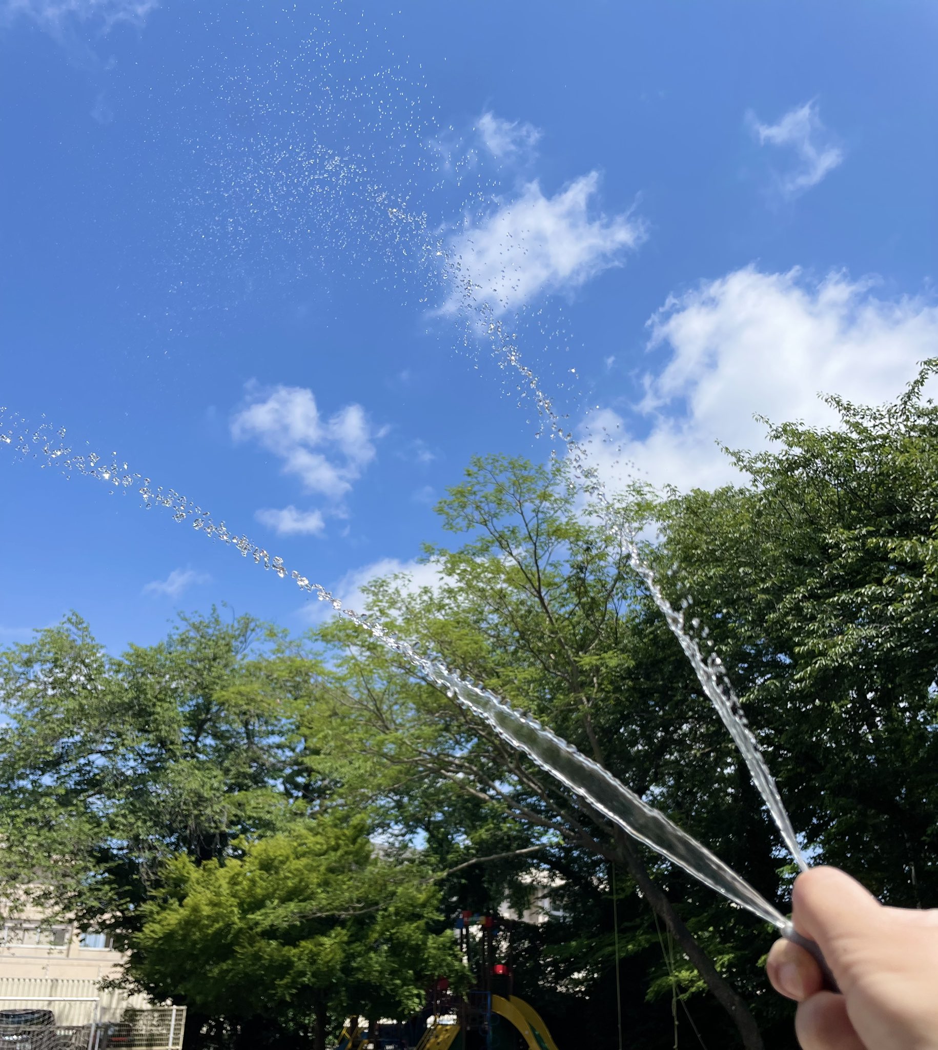 تويتر みなみおおの على تويتر いいお天気だから ホースで水遊び 先生も子ども達もびしょ濡れになって 気持ちいーい T Co Swwkgyl0l4