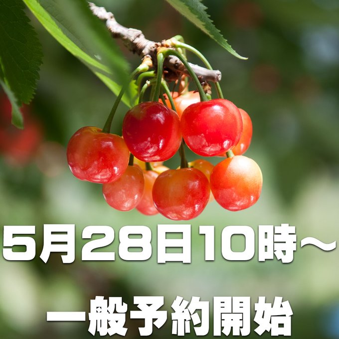 逸品やまなし 山梨の美味しい果物を農園から産直通販 販売