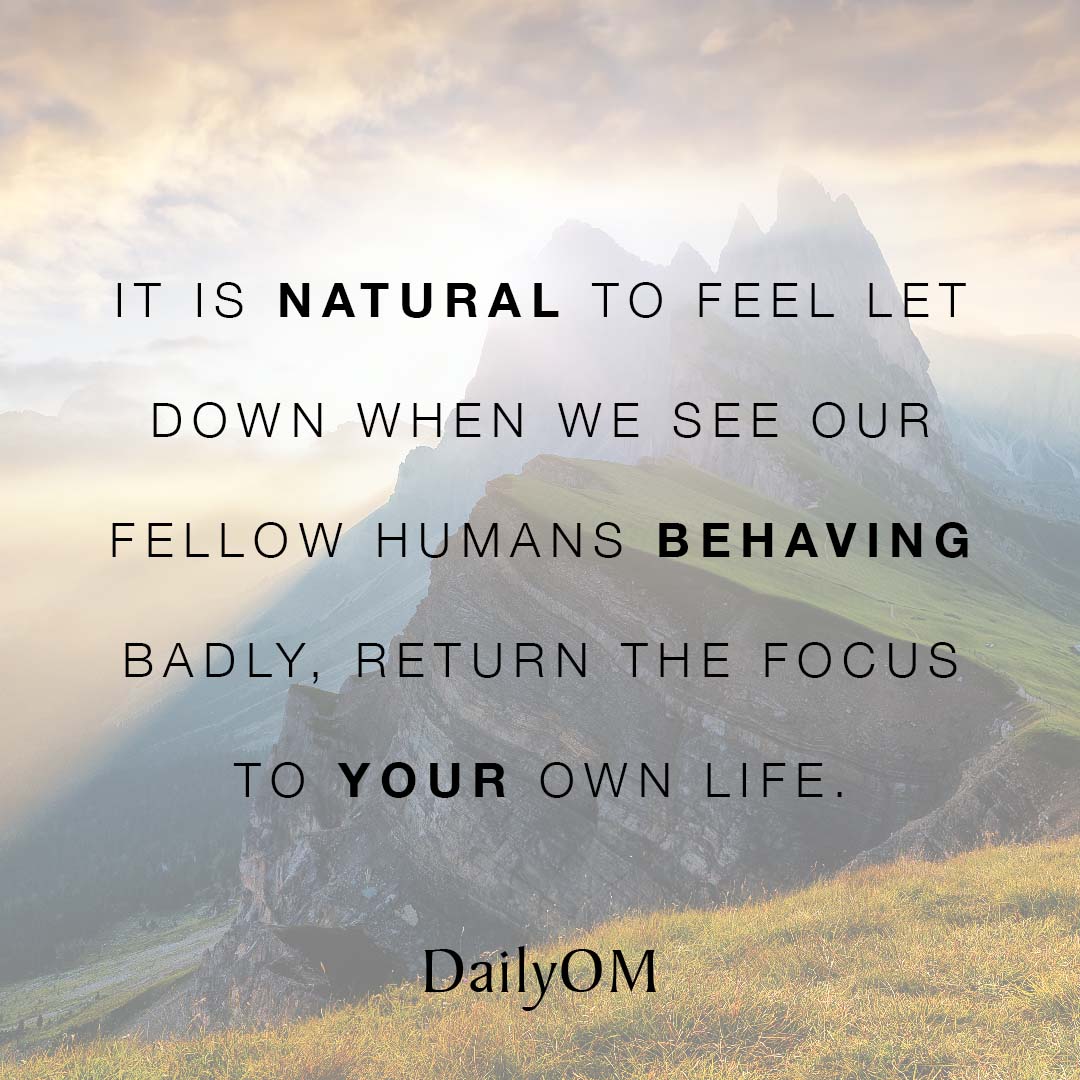 It is natural to feel let down when we see our fellow humans behaving  badly, return the focus to your own life. https://t.co/Uq3FsusATg #DailyOM # Quotes #QOTD #Humanity #Anger #FedUp #Disappointment #Frustration, image size:1080x1080