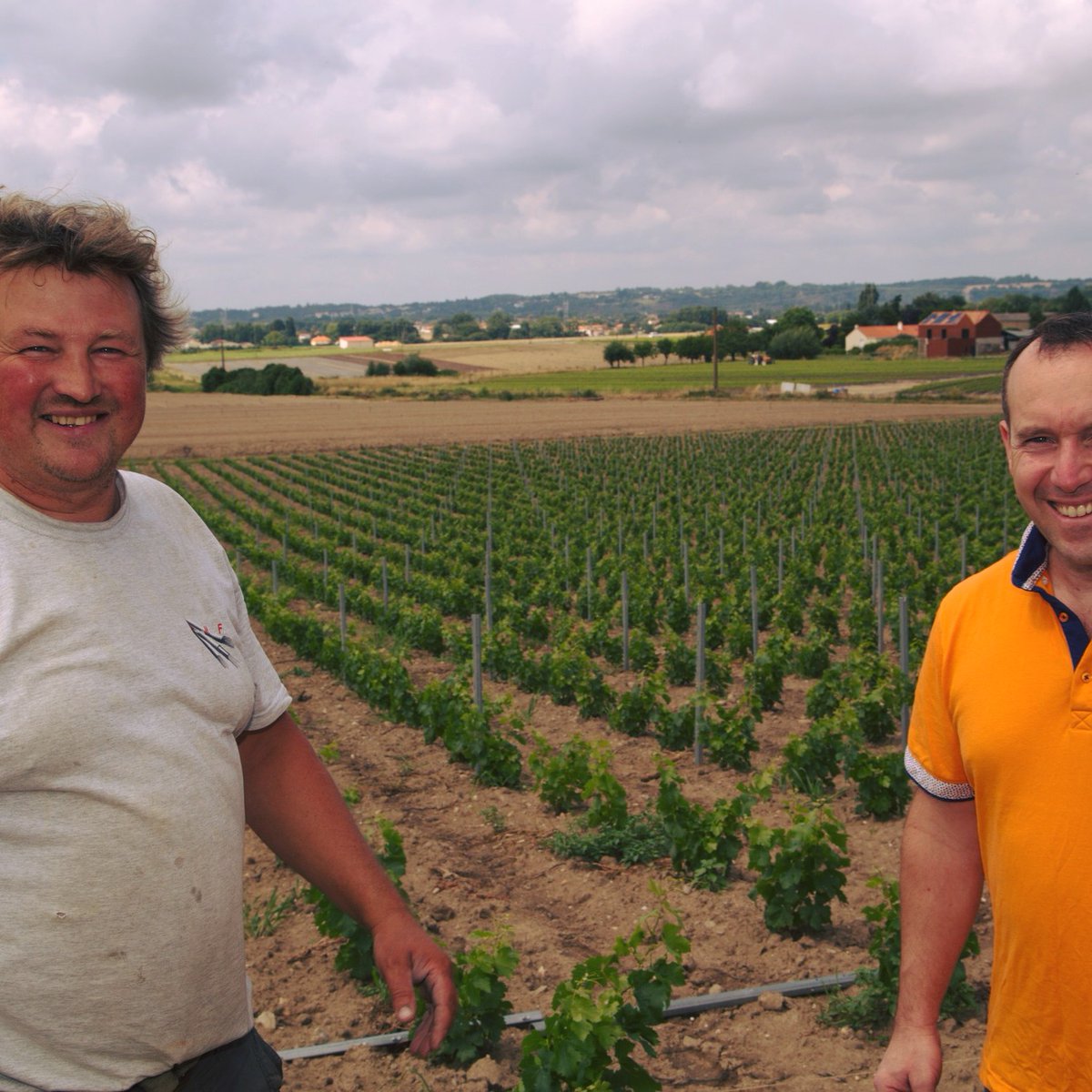 JusteDeLA's tweet photo. [THREAD] 📣Heureux de vous annoncer la sortie du p'tit dernier de la @Marque_Juste : le Muscadet #JusteDeLoireAtlantique 

Ce projet est né de la volonté de 5 vignerons des trois territoires du muscadet qui ont à coeur de valoriser ce produit du terroir à un prix rémunérateur https://t.co/9AhR5Antfk