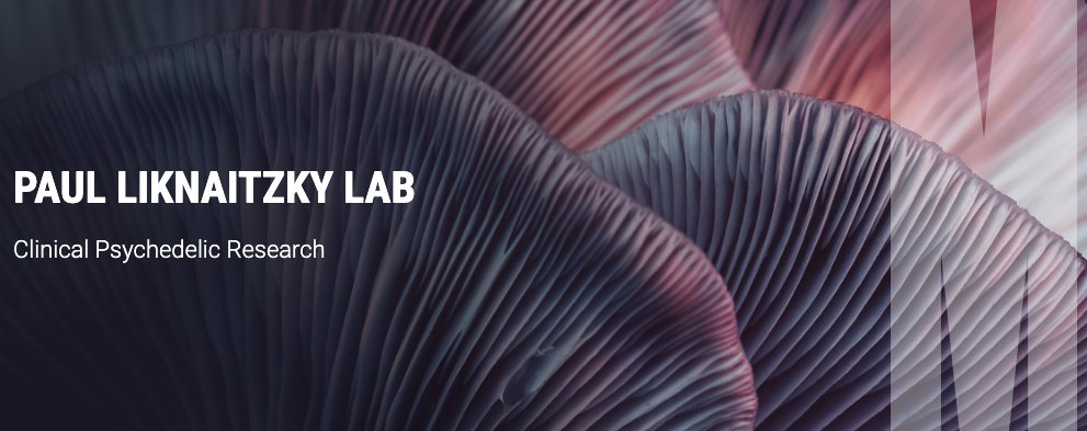 Dr Paul Liknaitzky (@pliknaitzky) on Twitter photo Expressions of Interest invited for a Full Time Research Officer within my lab <a href="/MonashUni/">Monash University</a>. Come work in Australia's first Clin Psychedelic Lab with a friendly, rigorous, and growing team of researchers and therapists. For further info & to APPLY: airtable.com/shr7MDTzLigq0I… Expressions of Interest invited for a Full Time Research Officer within my lab <a href="/MonashUni/">Monash University</a>. Come work in Australia's first Clin Psychedelic Lab with a friendly, rigorous, and growing team of researchers and therapists. For further info & to APPLY: airtable.com/shr7MDTzLigq0I…