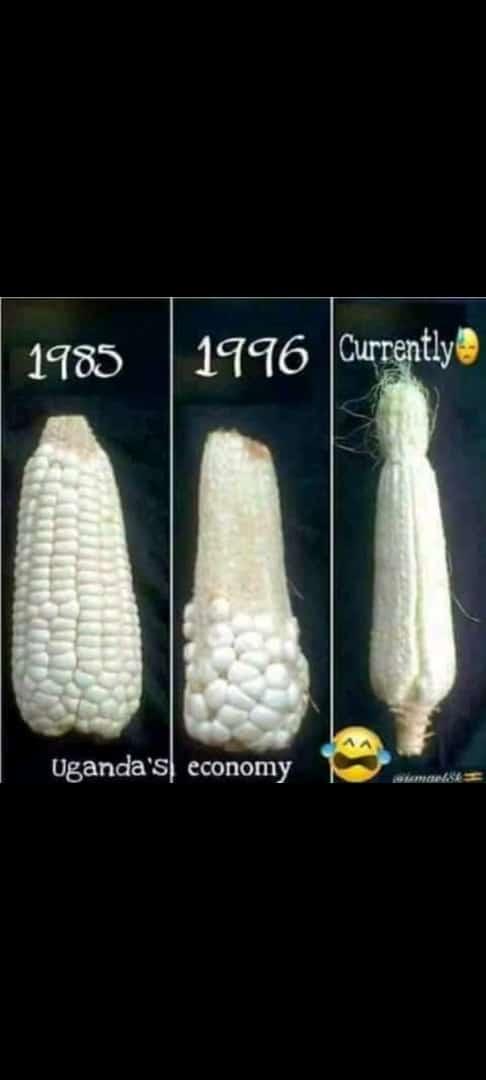 MusabaShanks's tweet photo. What is in your minds???? https://t.co/dh4dpeexPJ