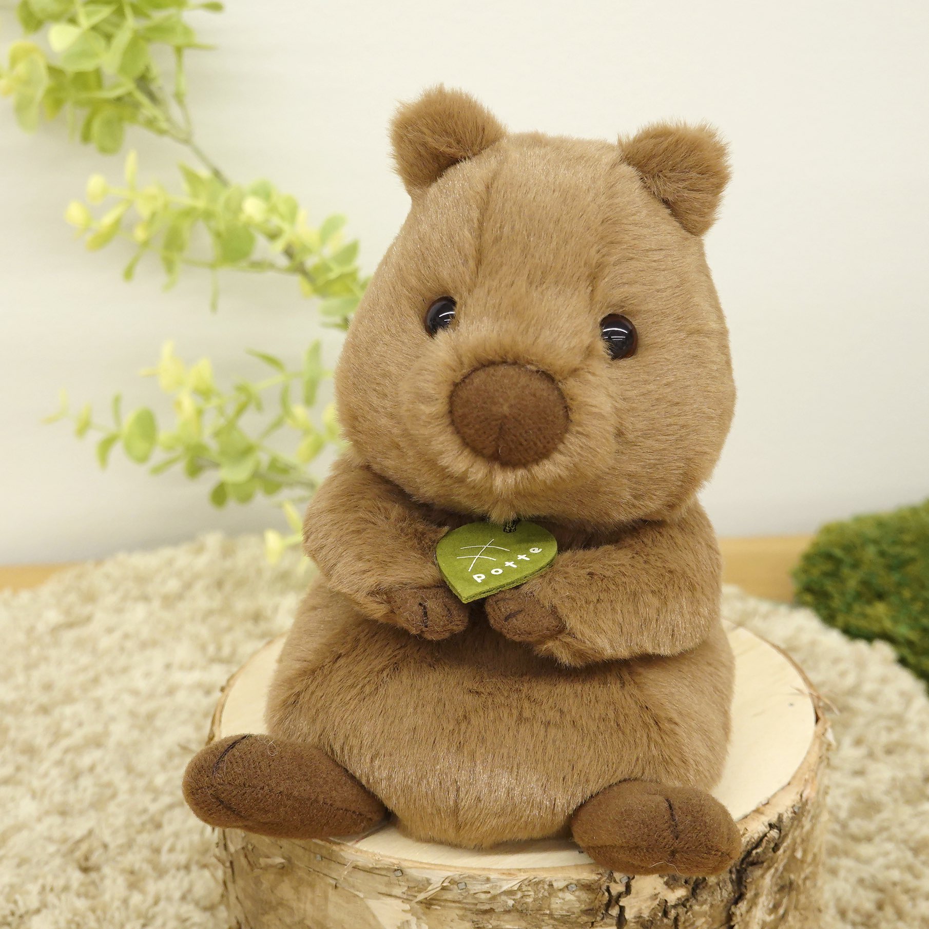 サン アロー サン アローオリジナルぬいぐるみ Potte に 世界一幸せな動物こと クアッカワラビー が仲間入り Potte クアッカワラビー ふわふわ ぬいぐるみ かわいい 可愛い ぬいどり ぬい撮り ぬいどり部 ぬいどり写真部 ぬいぐるみと撮り