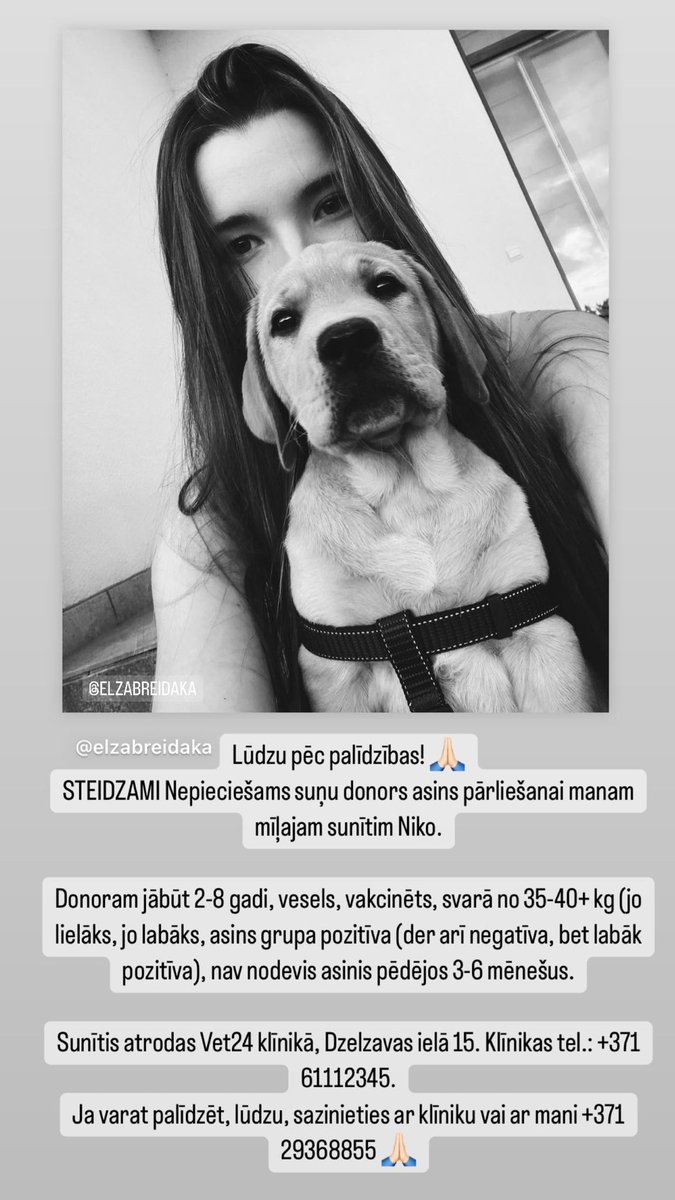 Lūgums palīdzēt ❤️