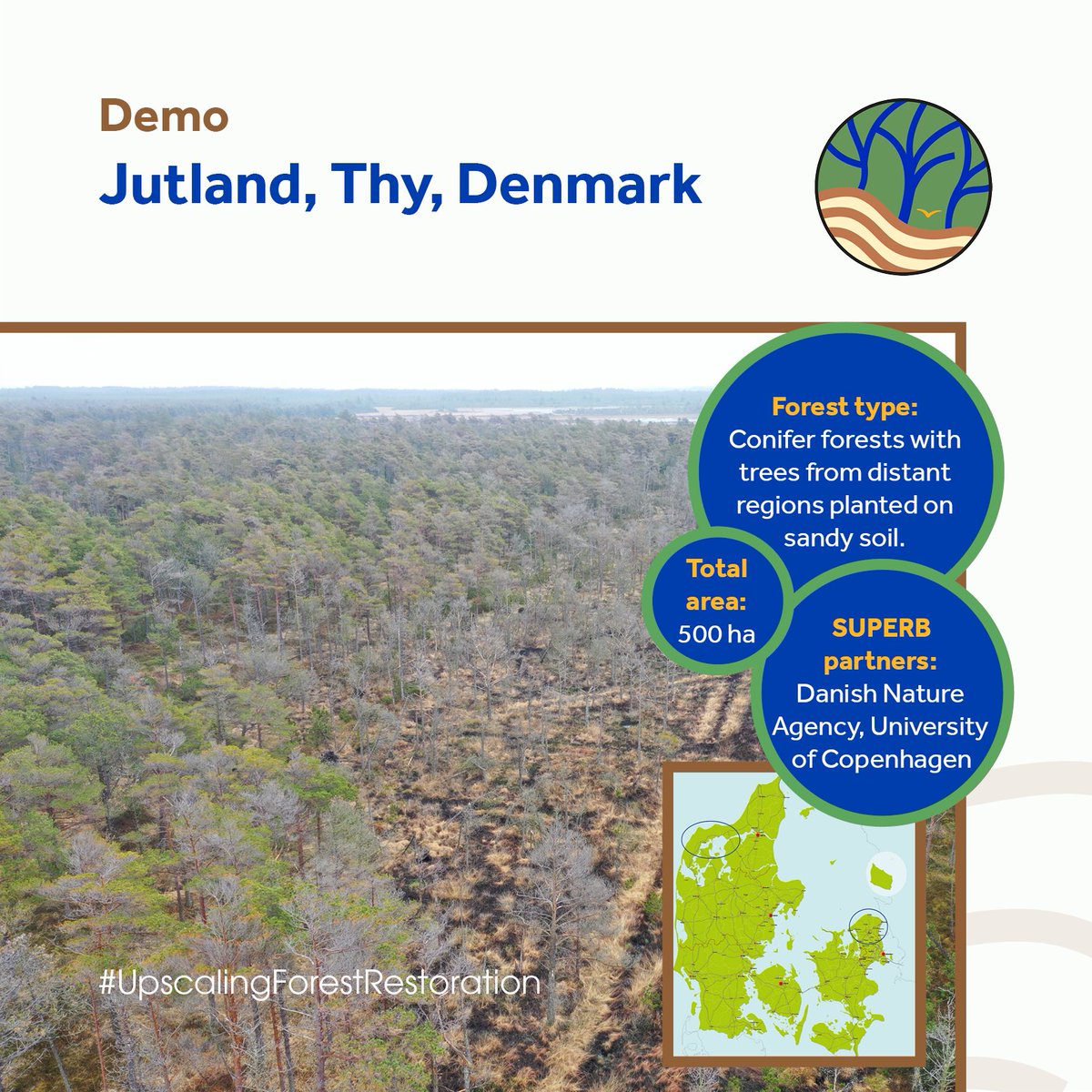 SUPERB_project's tweet photo. Our Danish demo consists of not only 1⃣ target area but of 2⃣! #1 is a coniferous-dominated #forest in the scenic Jutland peninsula where #SUPERBproject will establish native #tree species & restore natural hydrology by closing drainage systems.
#UpscalingForestRestoration https://t.co/jrQZ8rxHcn