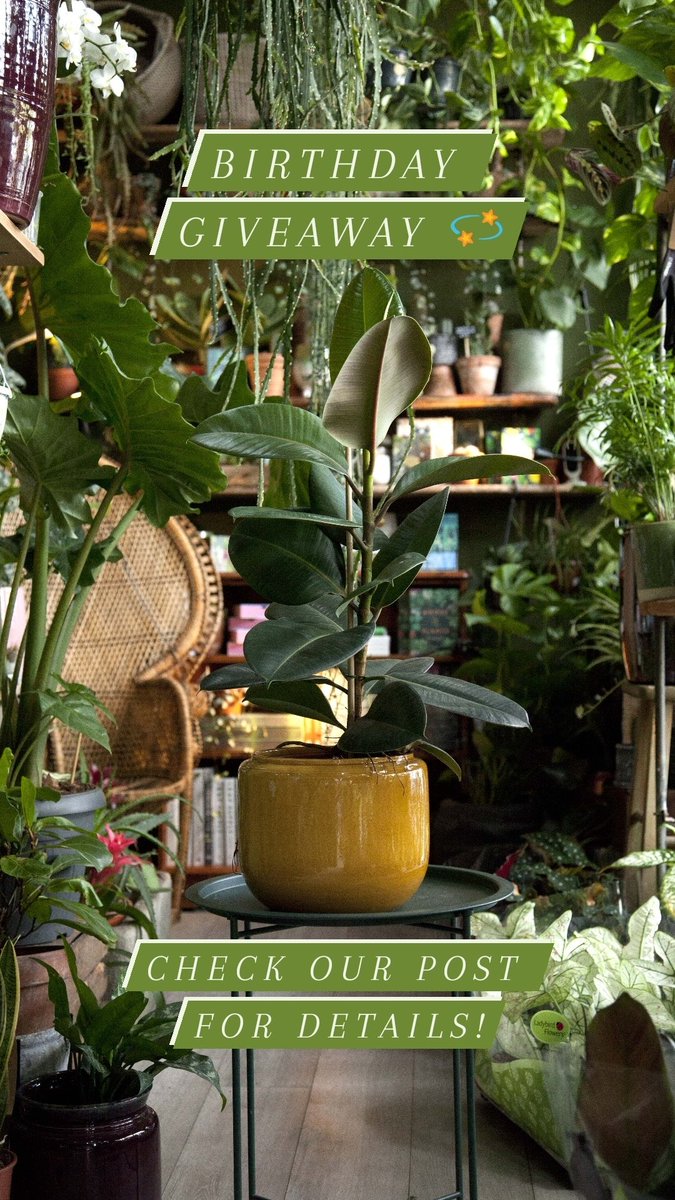 If you're also on Instagram we have a plant giveaway (a stylish rubber plant in a ceramic pot) draw happening this week to celebrate our forthcoming birthday weekend. Check out details on *mmealondon*. 

Lots more planned for the weekend so pop by if you can.

#SE23 #SE4 #SE22