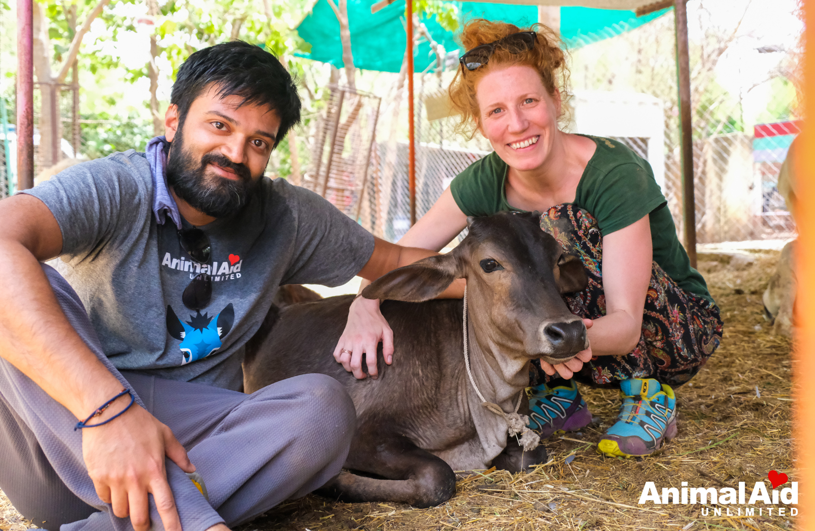 Animal Aid Unlimited on Twitter: Animal Aid Unlimited on Twitter: