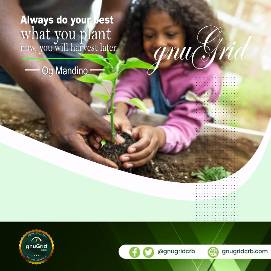 gnugridcrb's tweet photo. #plantforthefuture
#gnugridcrb https://t.co/n5xzASpAA0
