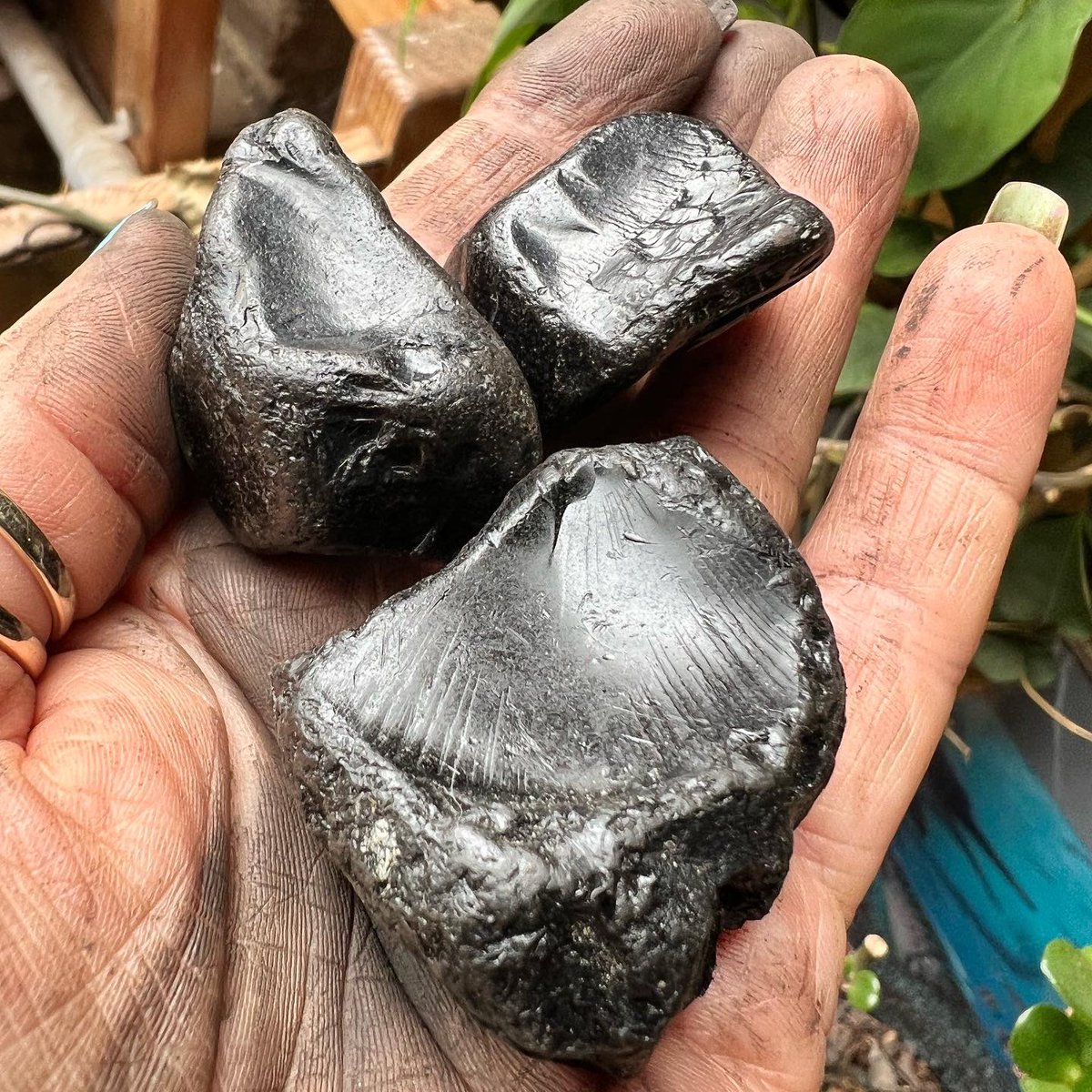 Sarah Caldwell Steele (@jetsarah) on Twitter photo Two pieces of Whitby jet, one piece of bitumen/tar, can you tell the difference?
#whitbyjet #archaeology #bitumen #palaeobotany <a href="/ArcDurham/">Durham Archaeology</a> <a href="/DurUniEarthSci/">Durham Earth Science</a> Two pieces of Whitby jet, one piece of bitumen/tar, can you tell the difference?
#whitbyjet #archaeology #bitumen #palaeobotany <a href="/ArcDurham/">Durham Archaeology</a> <a href="/DurUniEarthSci/">Durham Earth Science</a>