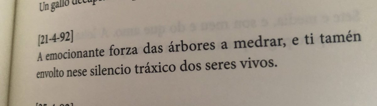 “A emocionante forza das árbores a medrar, e ti tamén envolto nese silencio tráxico dos seres vivos.” 26 anos sen Lois Pereiro buscando acubillo na súa #poesía <a href="/ateneocasino/">Ateneo Casino</a> <a href="/AidaBSanchez/">Aída Beatriz Sánchez</a> <a href="/diana_pastoriza/">Diana Pastoriza</a> <a href="/outubristas/">Bibliodoce</a> <a href="/GonzaloRod/">Gonzalo Rodriguez</a> <a href="/onda0monforte/">Onda Cero Monforte</a> <a href="/MonforteLemos/">Concello de Monforte</a>